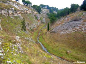 Gravina in puglia private guide