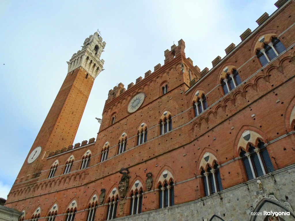 Siena private guide