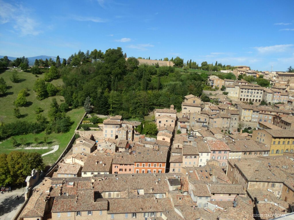 Urbino private guide