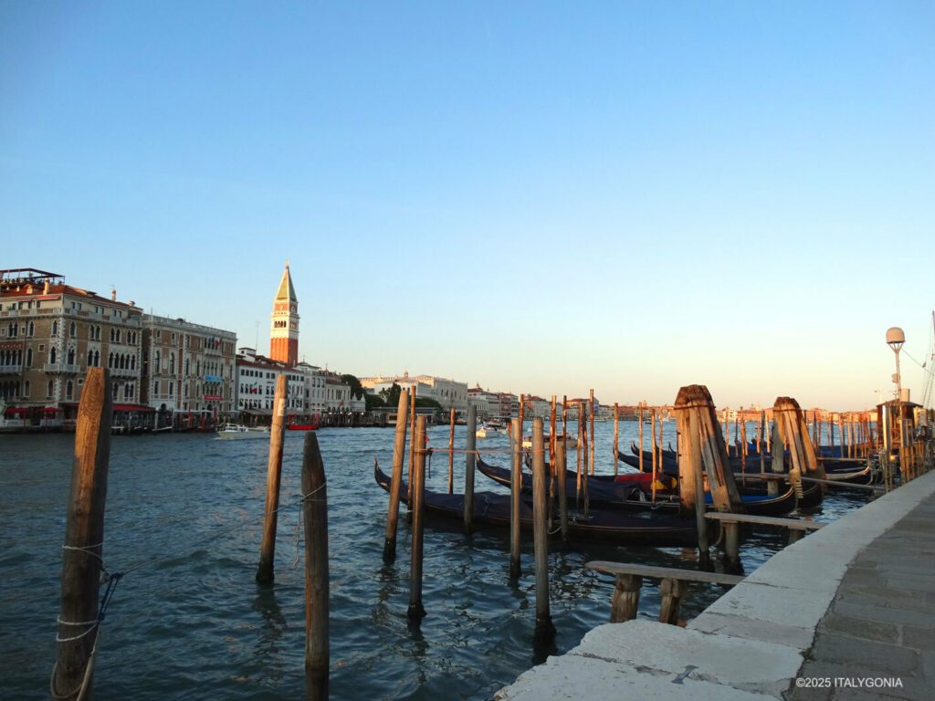 Venice private guide (Venezia)