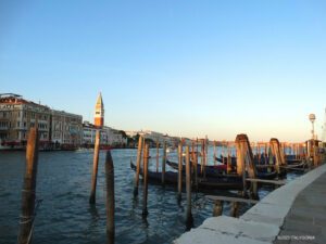 Venice private guide (Venezia)