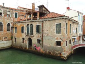 Venice private guide (Venezia)