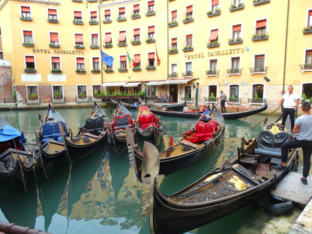 Venice private guide (Venezia)